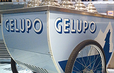 Gelapo Case Study